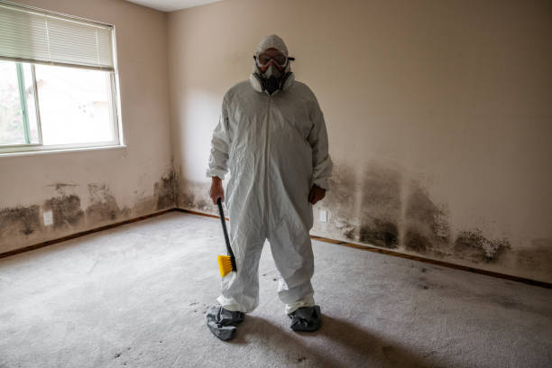 Reliable Merrimac, VA Mold Inspection, Removal & Remediation Solutions